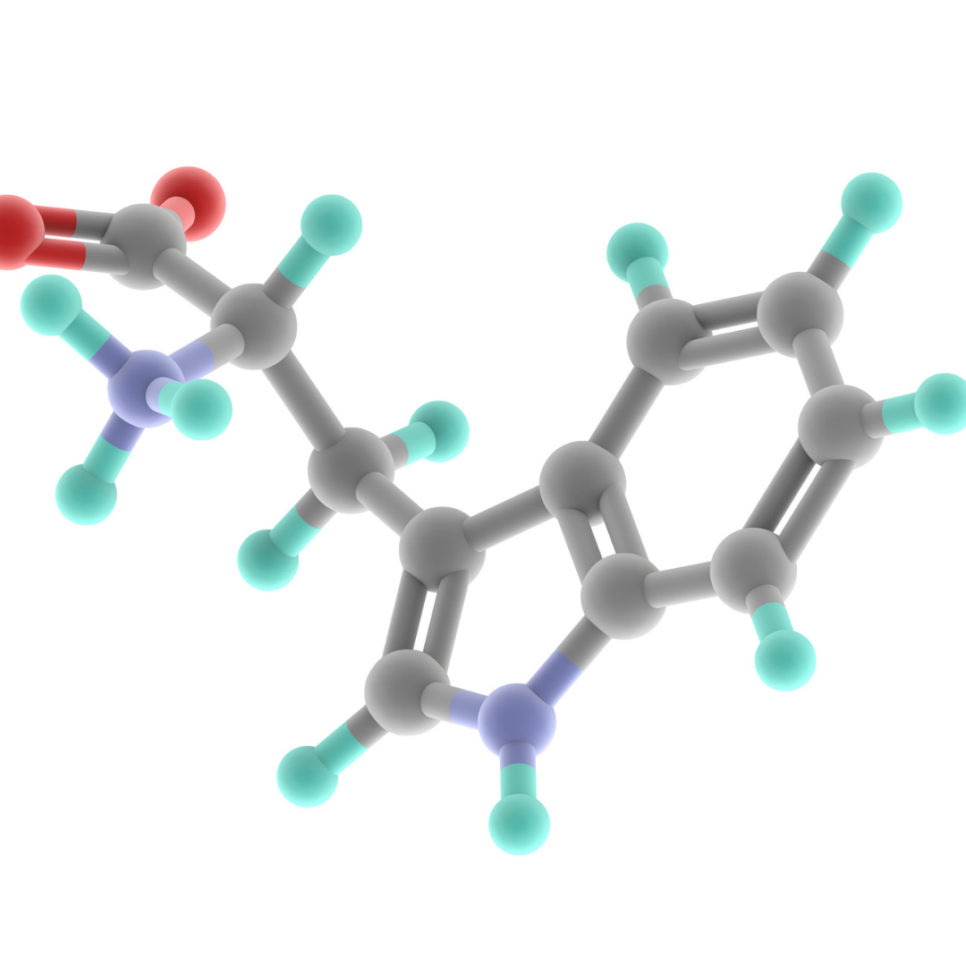 L-Tryptophane : Une Solution Naturelle pour Améliorer le Sommeil et l’Humeur