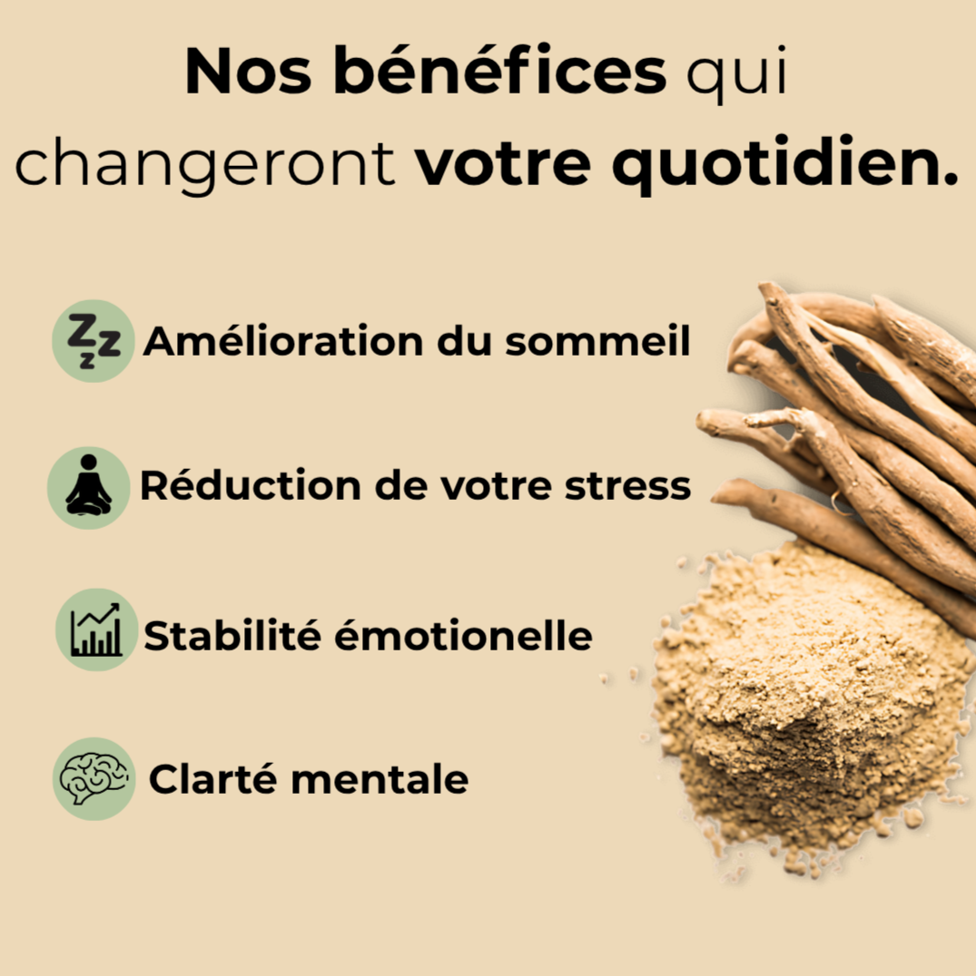 Ashwagandha | Poudre Zénithalys
