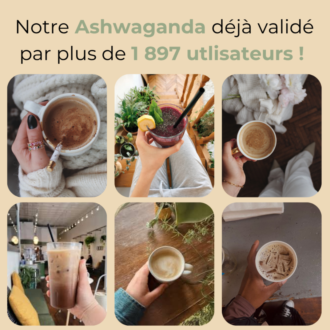 Ashwagandha | Poudre Zénithalys