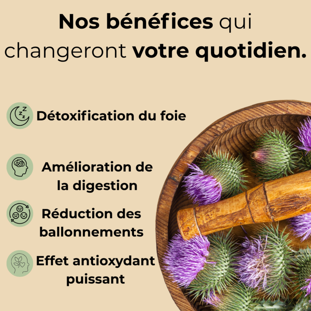 Complexe Détox Foie | Zénithalys